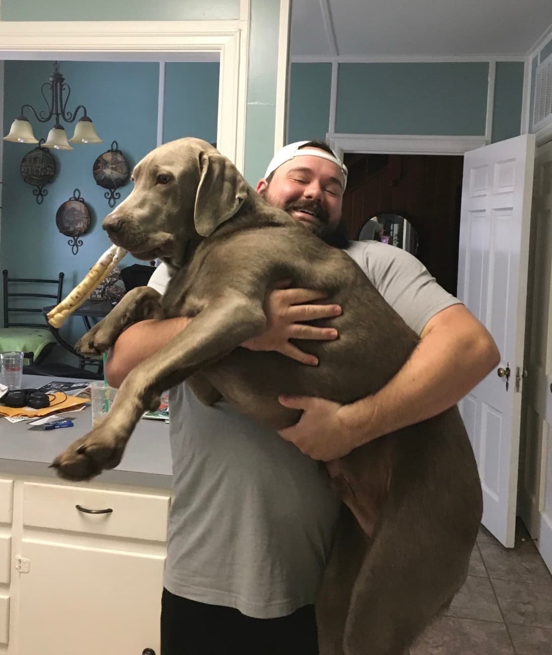 Kyle with Blue and Finley